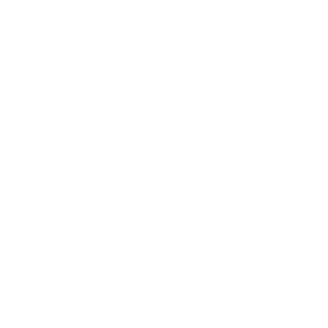 CISSP-Security